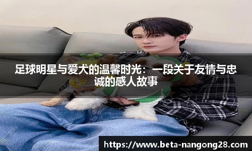 ng28相信品牌力量